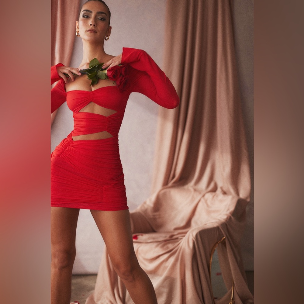 House of CB Camille Silk dress, size small, red BNWT